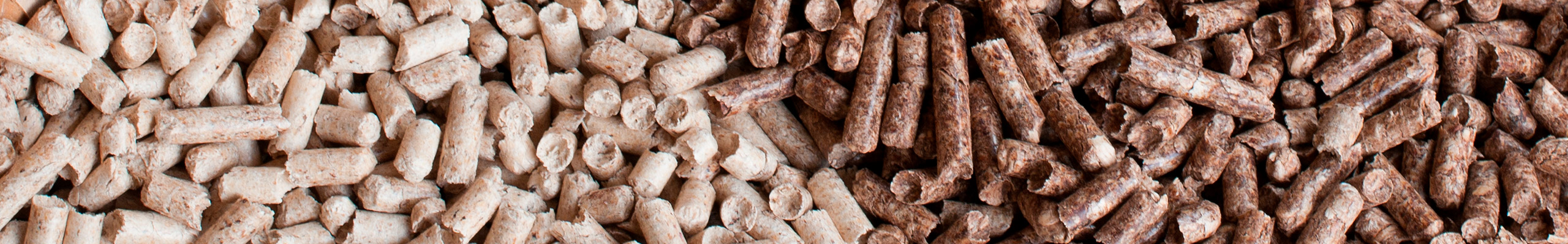 Miembros de la Red Transfronteriza Biomasa AP